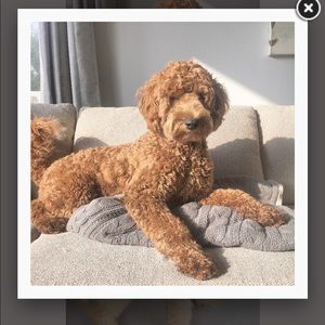 Meet your Posher, Cathy